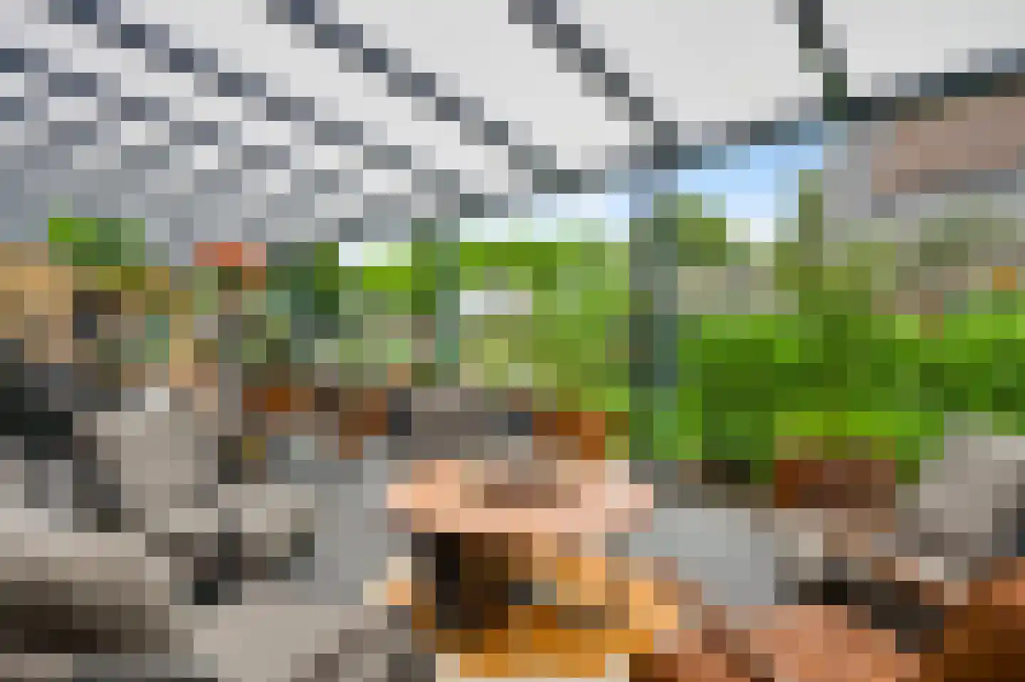 Willem-Alexanderstraat 6 Horst thumbnail 55