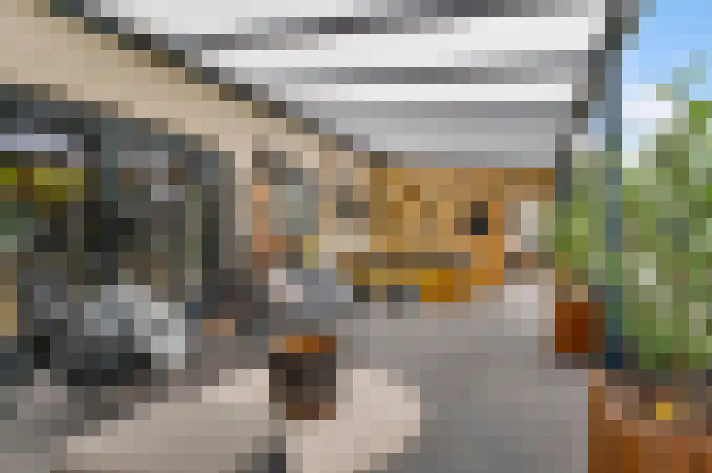 Willem-Alexanderstraat 6 Horst thumbnail 57