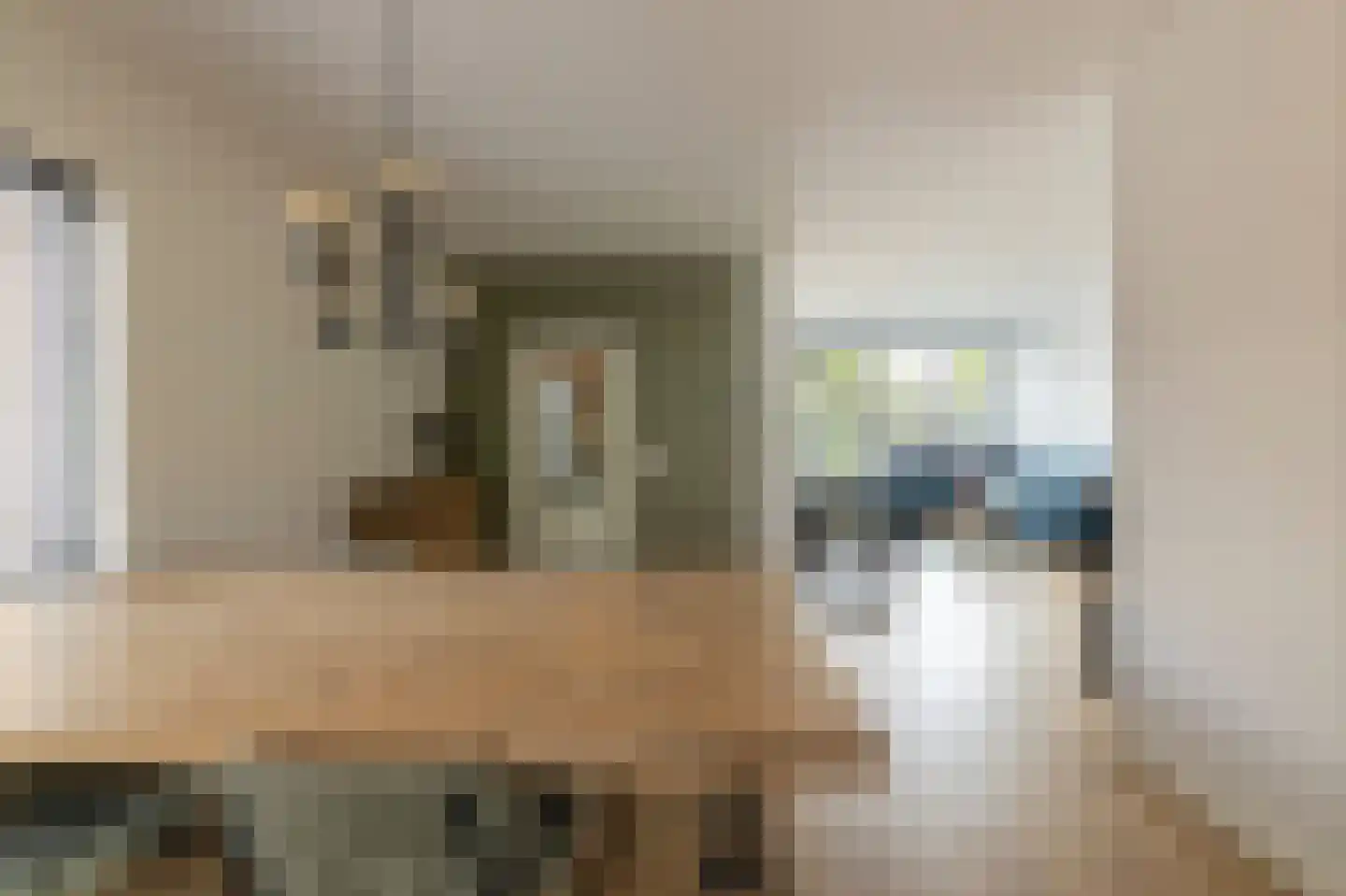 Willem Alexanderstraat 7 Dreumel thumbnail 19
