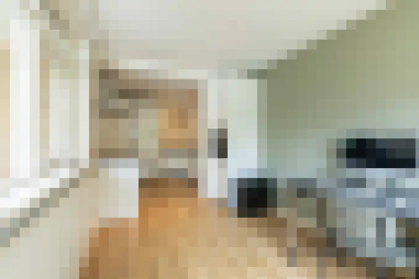 Willem Alexanderstraat 7 Dreumel thumbnail 24