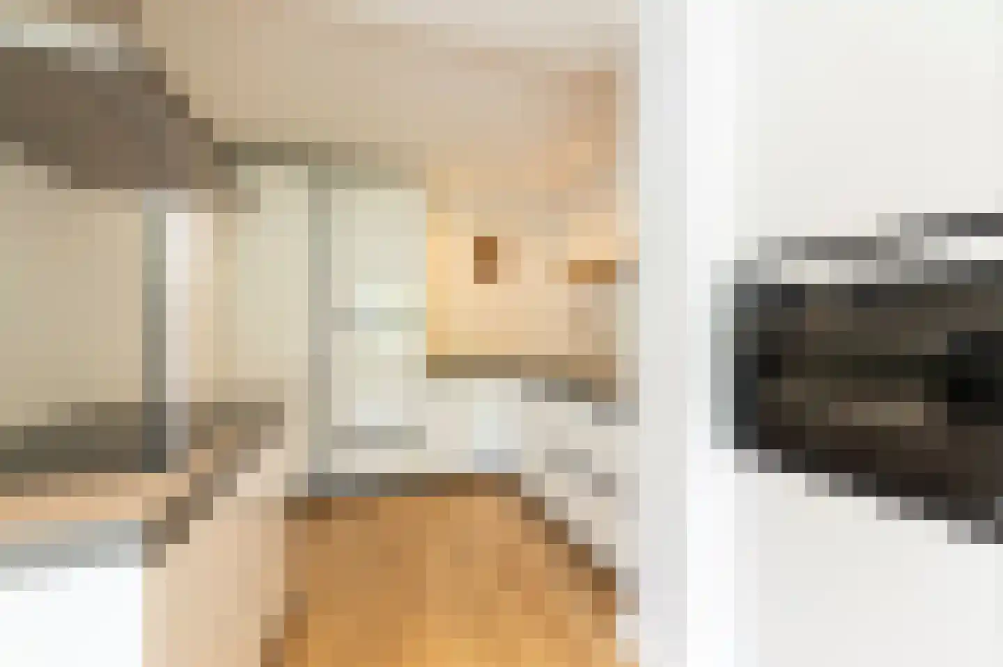 Willem Alexanderstraat 7 Dreumel thumbnail 26