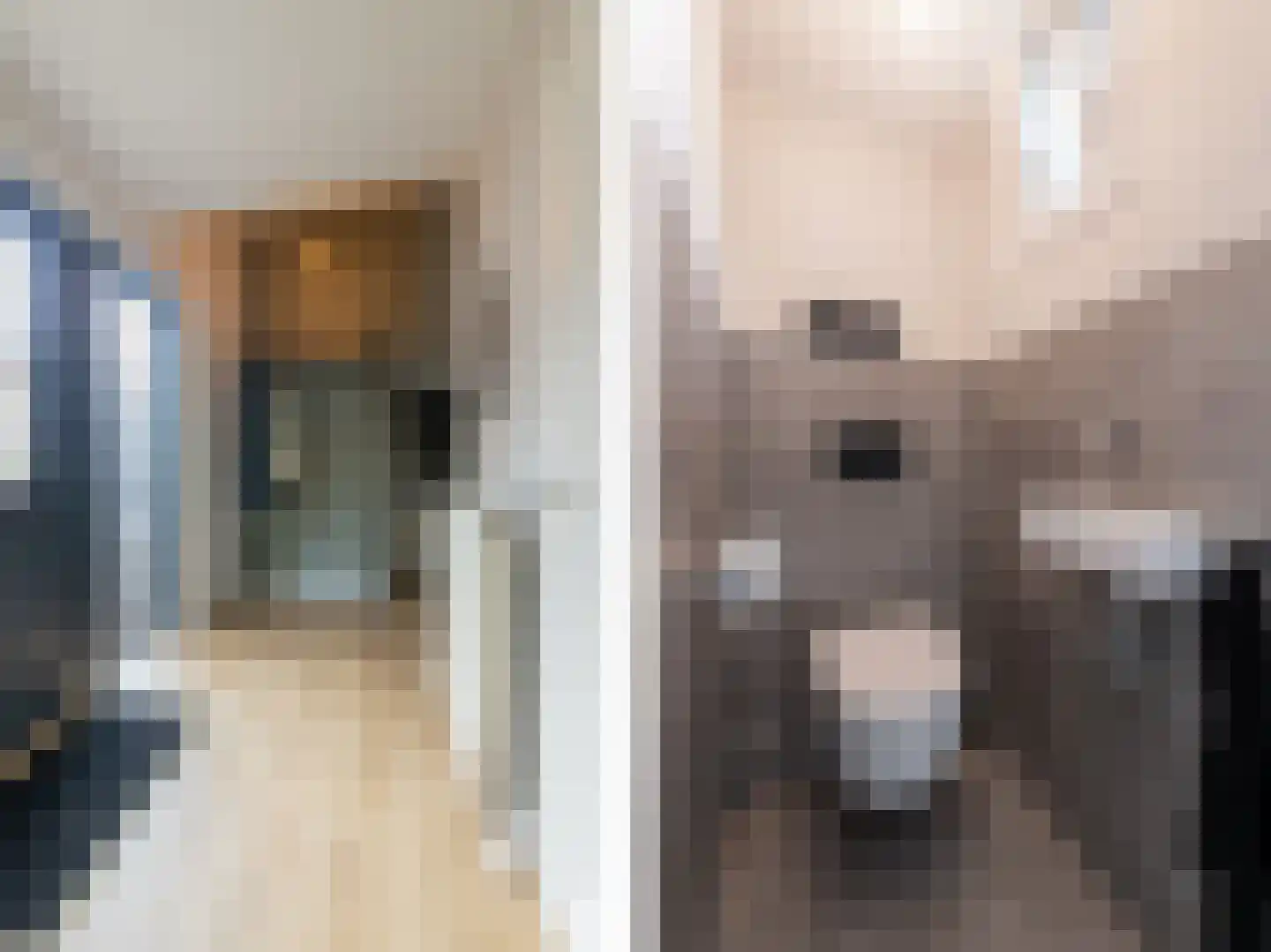 Willem Alexanderstraat 7 Dreumel thumbnail 30