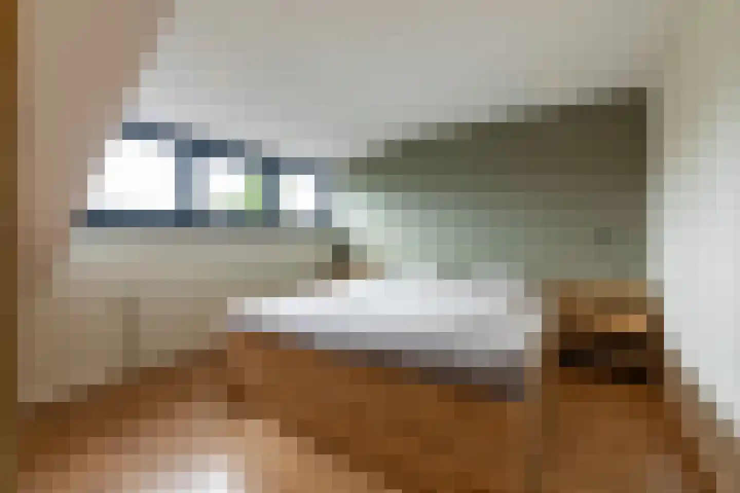 Willem Alexanderstraat 7 Dreumel thumbnail 34