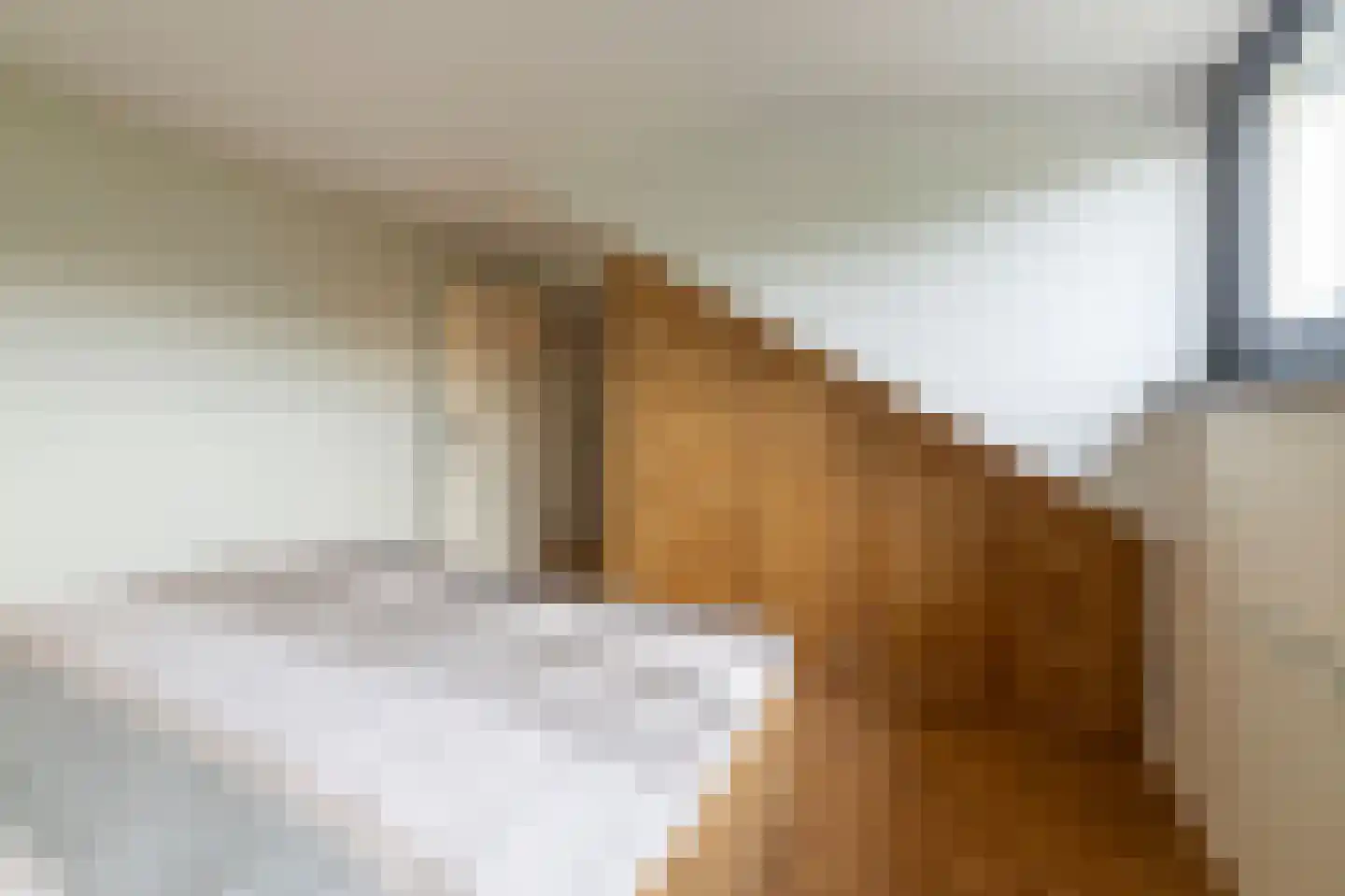 Willem Alexanderstraat 7 Dreumel thumbnail 35