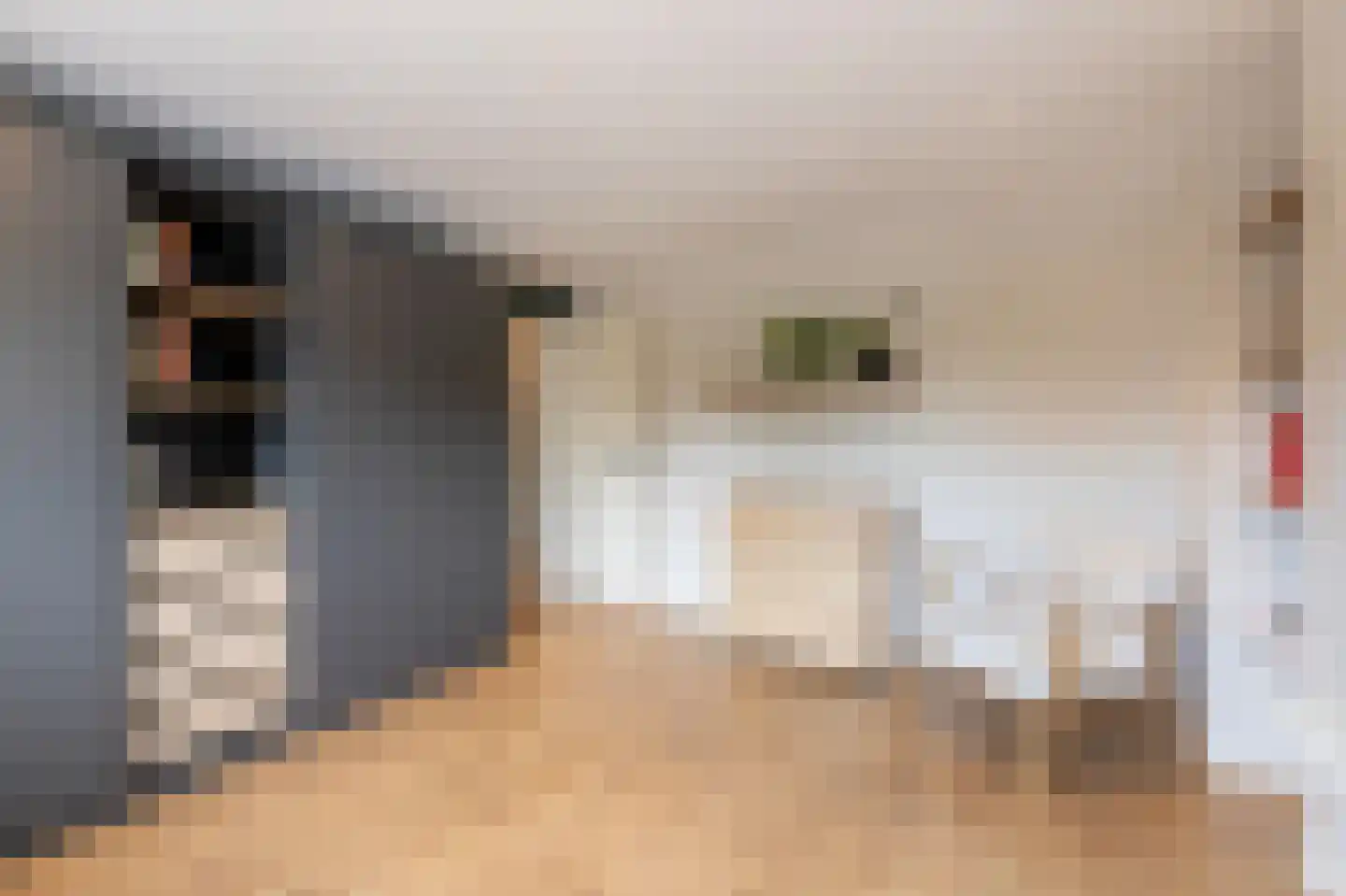 Willem Alexanderstraat 7 Dreumel thumbnail 40