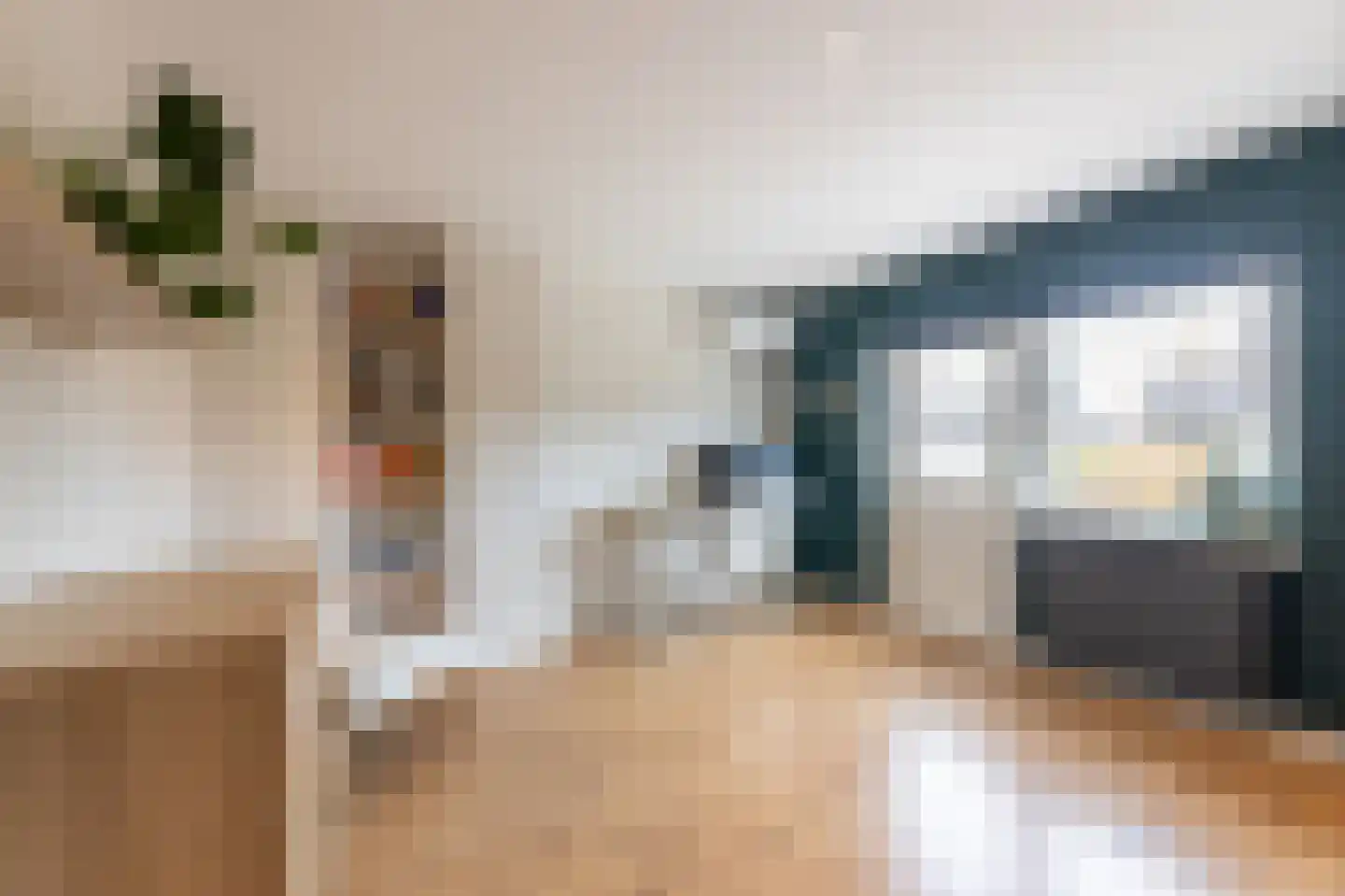 Willem Alexanderstraat 7 Dreumel thumbnail 41