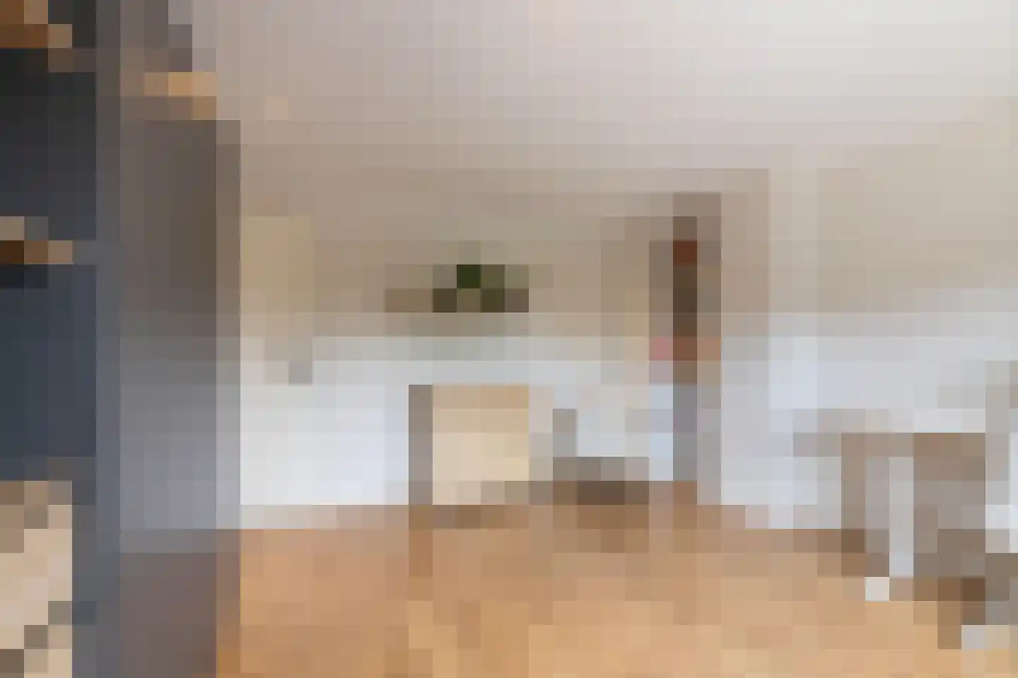 Willem Alexanderstraat 7 Dreumel thumbnail 42