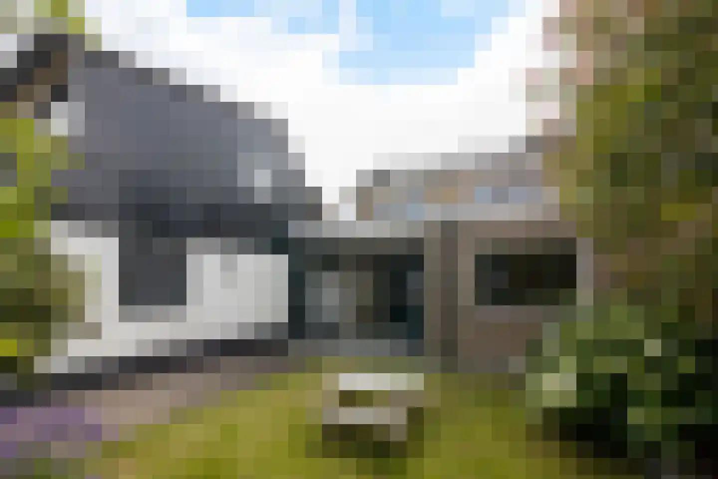 Willem Alexanderstraat 7 Dreumel thumbnail 50