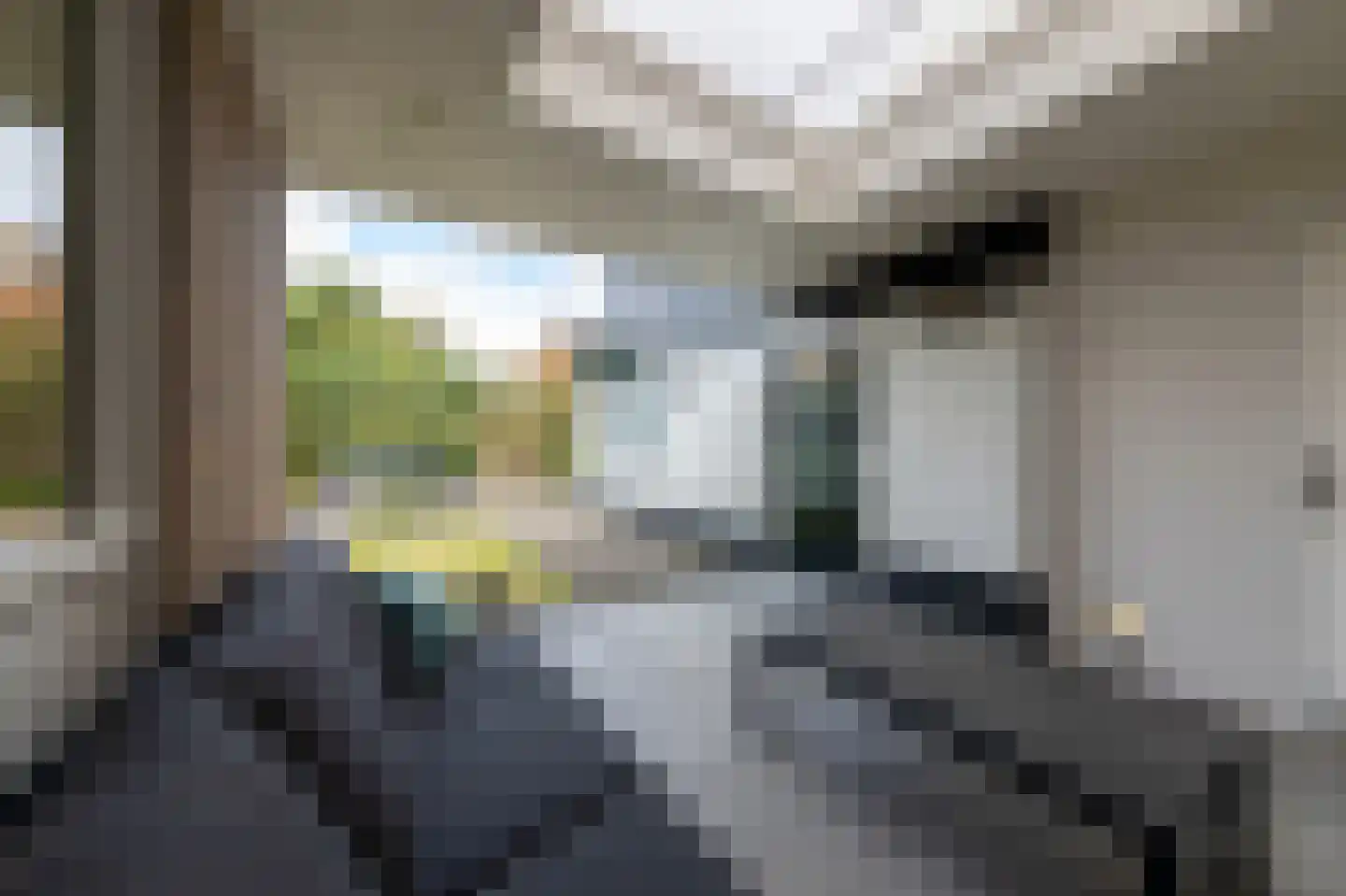 Willem Alexanderstraat 7 Dreumel thumbnail 51
