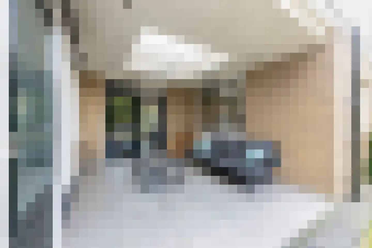 Willem Alexanderstraat 7 Dreumel thumbnail 52
