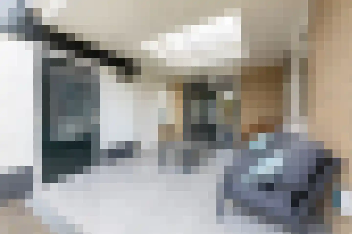 Willem Alexanderstraat 7 Dreumel thumbnail 56