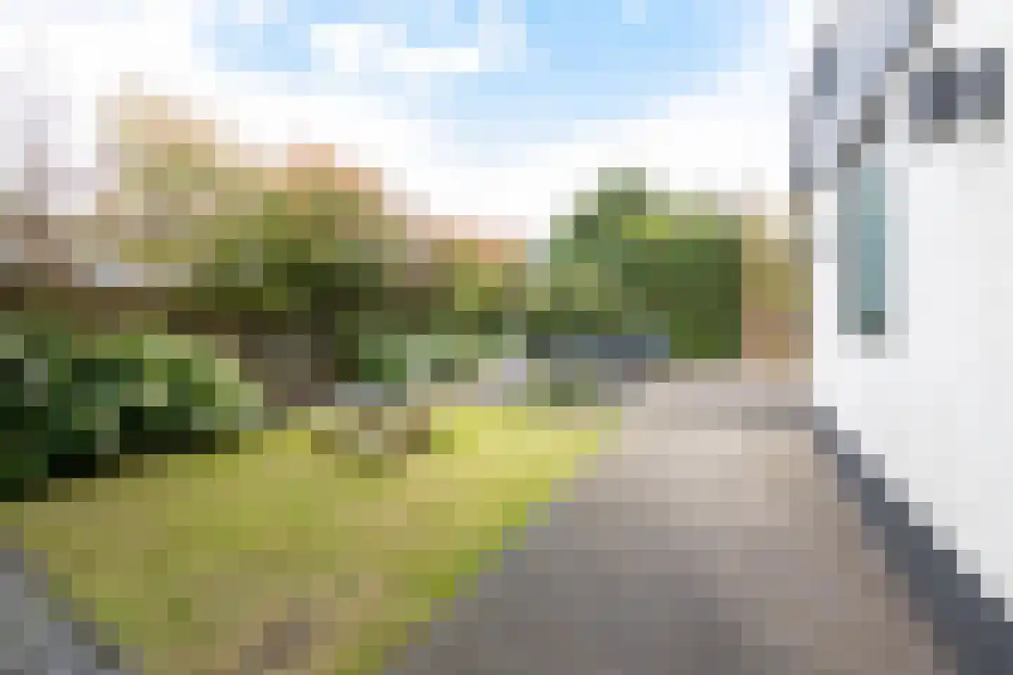Willem Alexanderstraat 7 Dreumel thumbnail 60