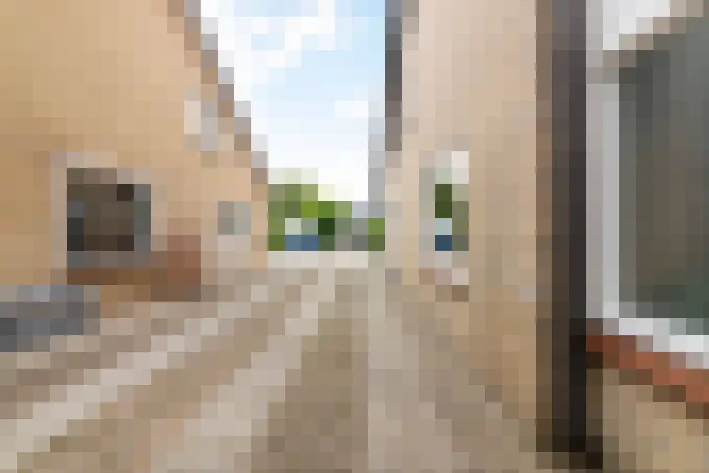 Willem Alexanderstraat 7 Dreumel thumbnail 73