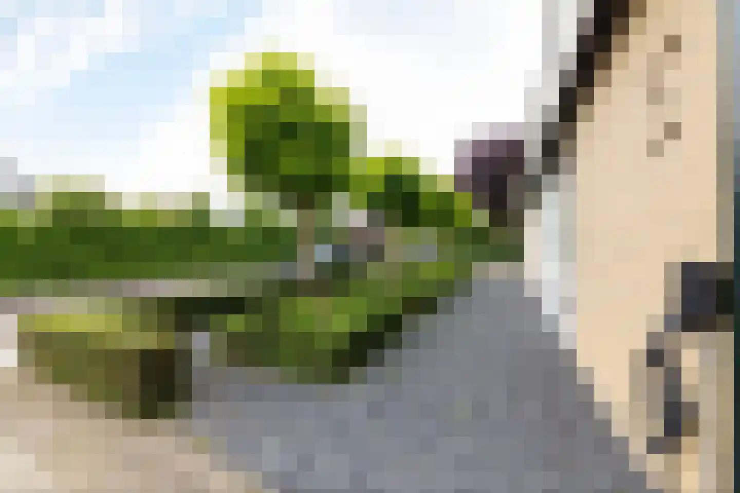 Willem Alexanderstraat 7 Dreumel thumbnail 76