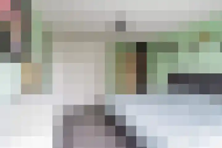 Willem Alexanderstraat 7 Zoeterwoude thumbnail 20