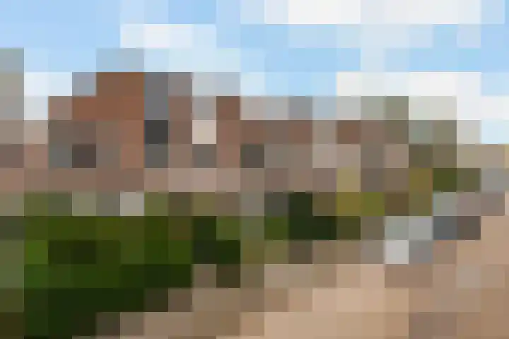 Willem Alexanderstraat 7 Zoeterwoude thumbnail 31
