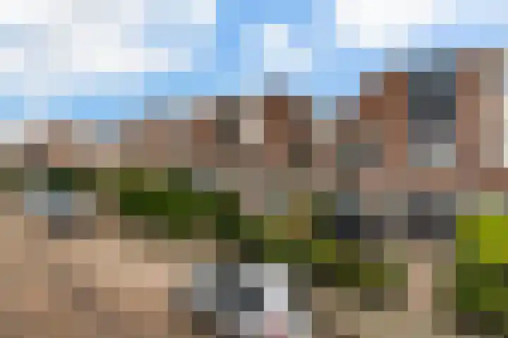 Willem Alexanderstraat 7 Zoeterwoude thumbnail 32