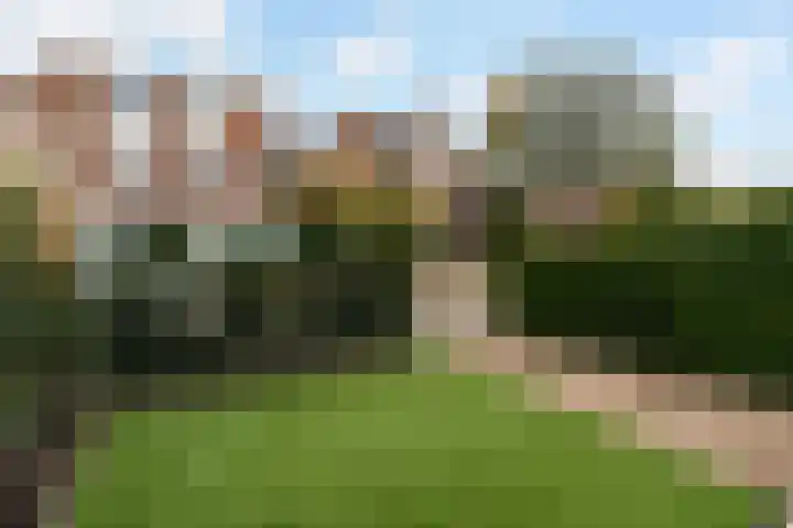 Willem Alexanderstraat 7 Zoeterwoude thumbnail 33