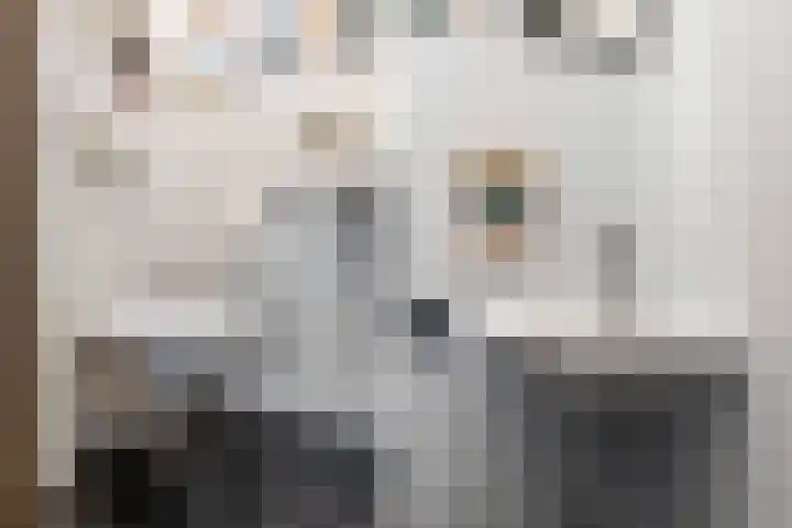 Willem Alexanderstraat 7 Zoeterwoude thumbnail 5