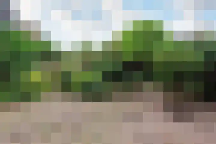 Willem-Alexanderstraat 74 Aalsmeer thumbnail 4