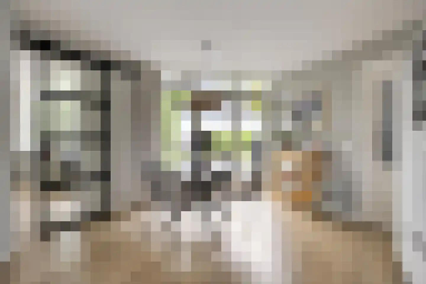 Willem Alexanderstraat 8 Asten thumbnail 15