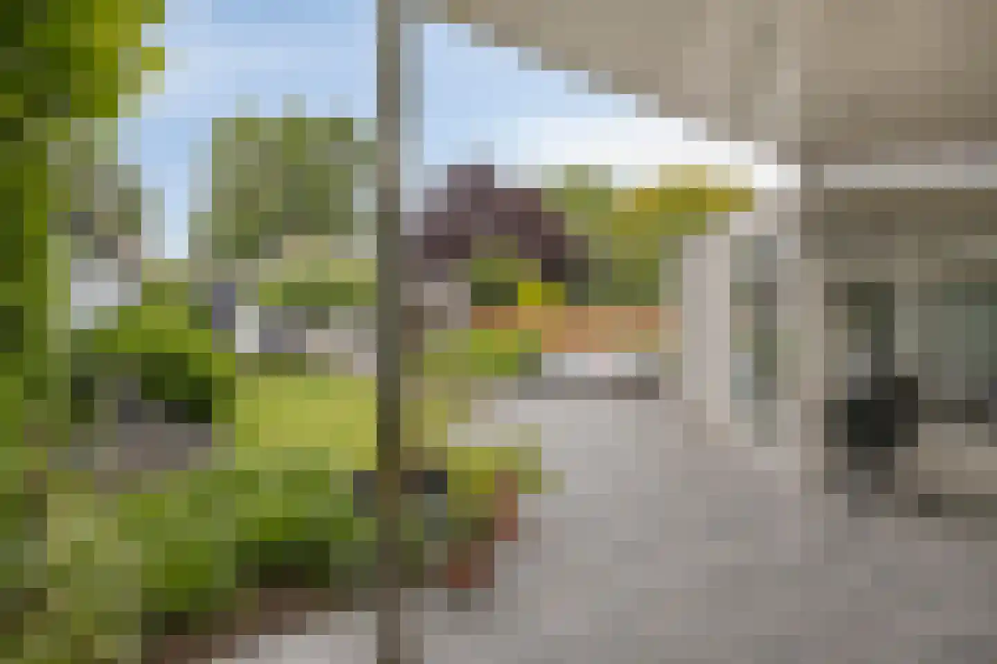 Willem Alexanderstraat 8 Asten thumbnail 22