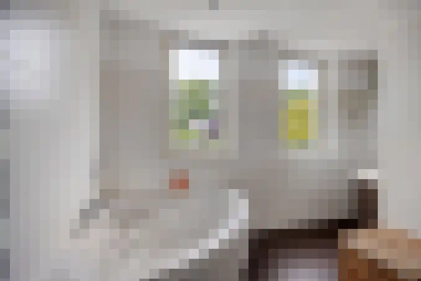 Willem Alexanderstraat 8 Asten thumbnail 37