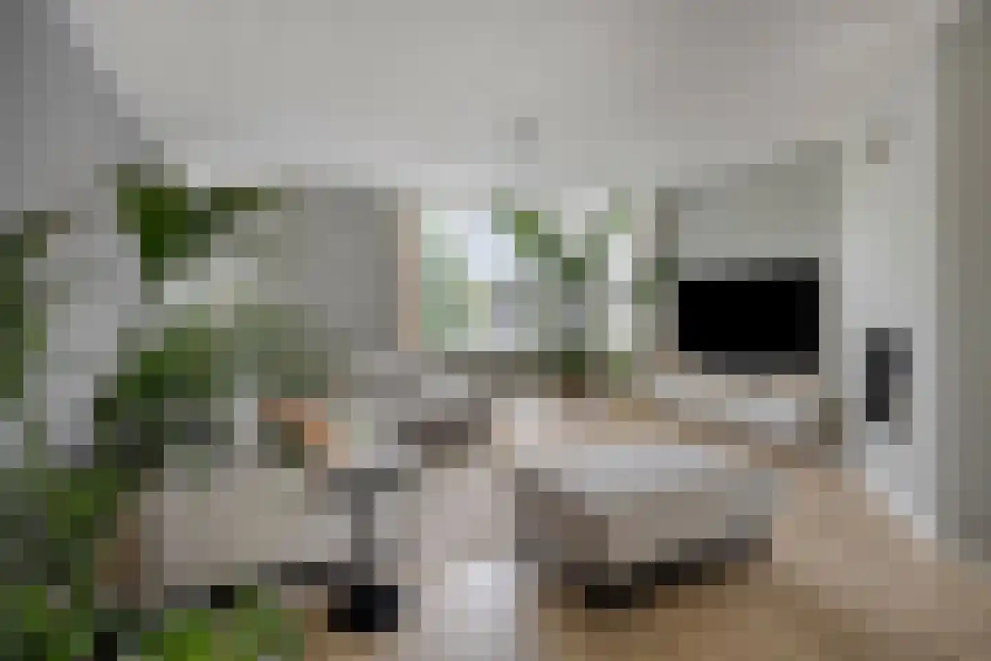 Willem Alexanderstraat 8 Asten thumbnail 4