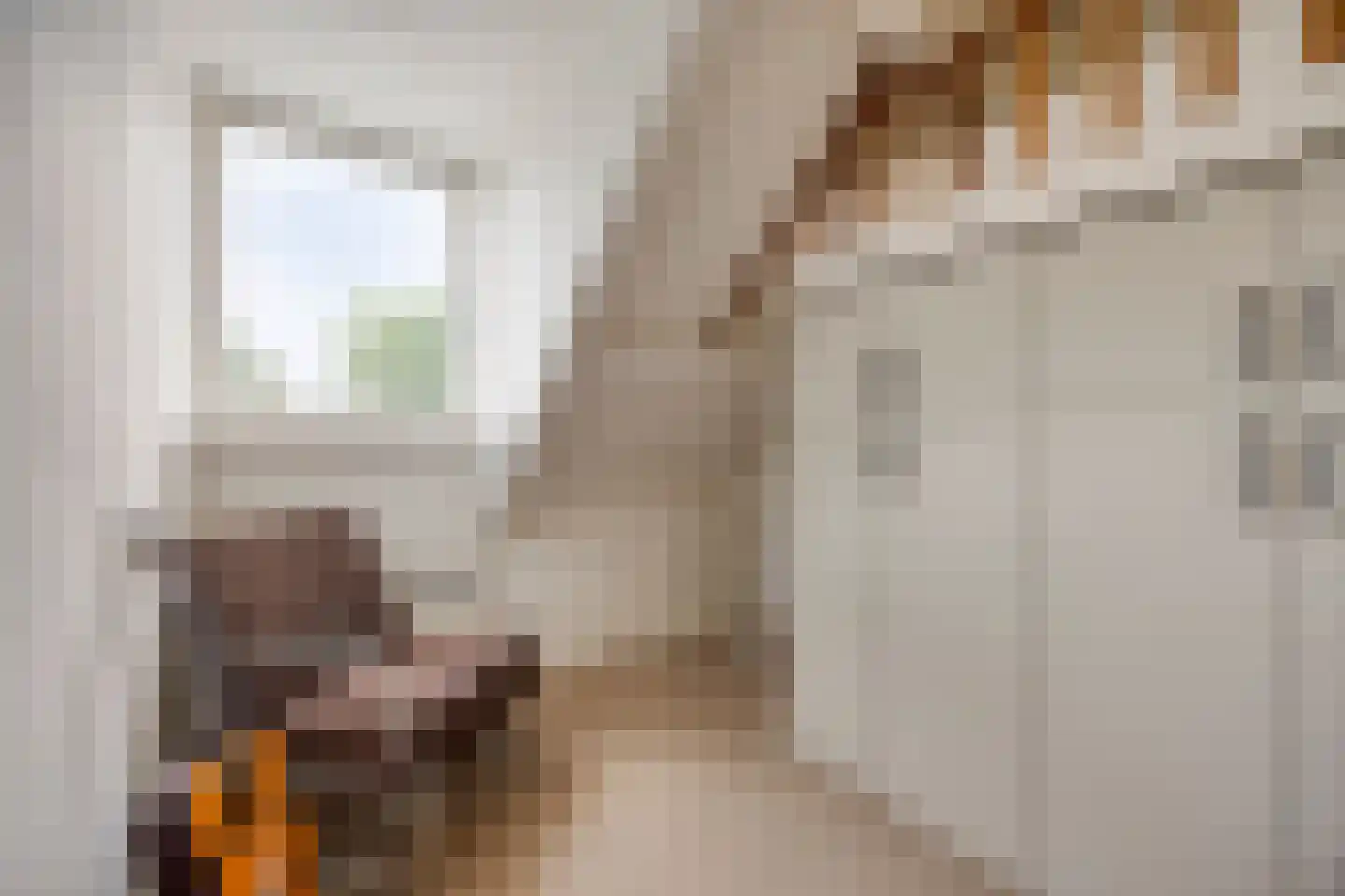 Willem Alexanderstraat 8 Asten thumbnail 44