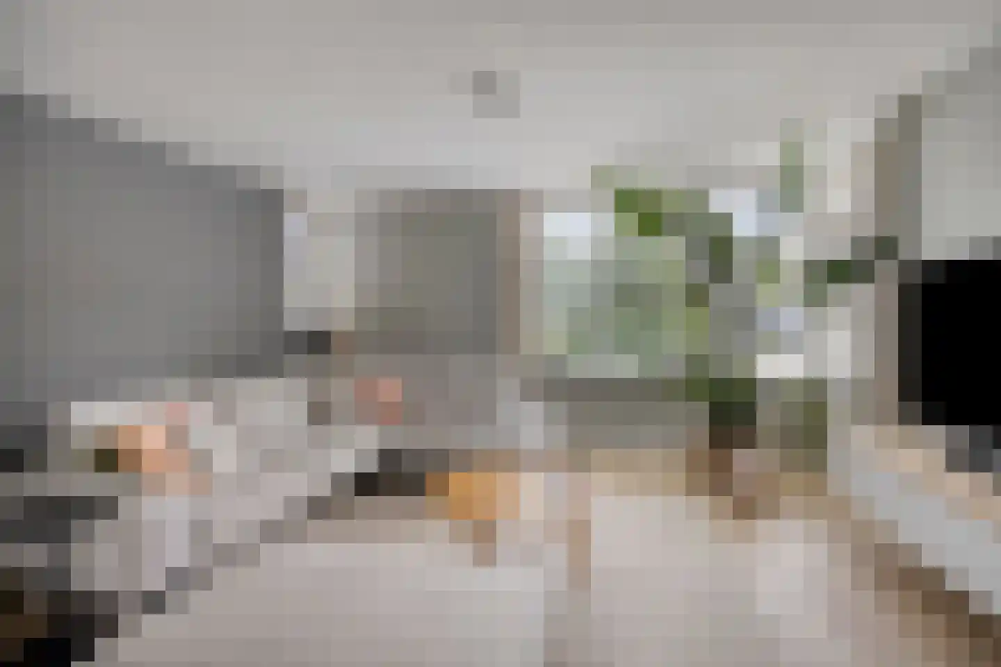 Willem Alexanderstraat 8 Asten thumbnail 5