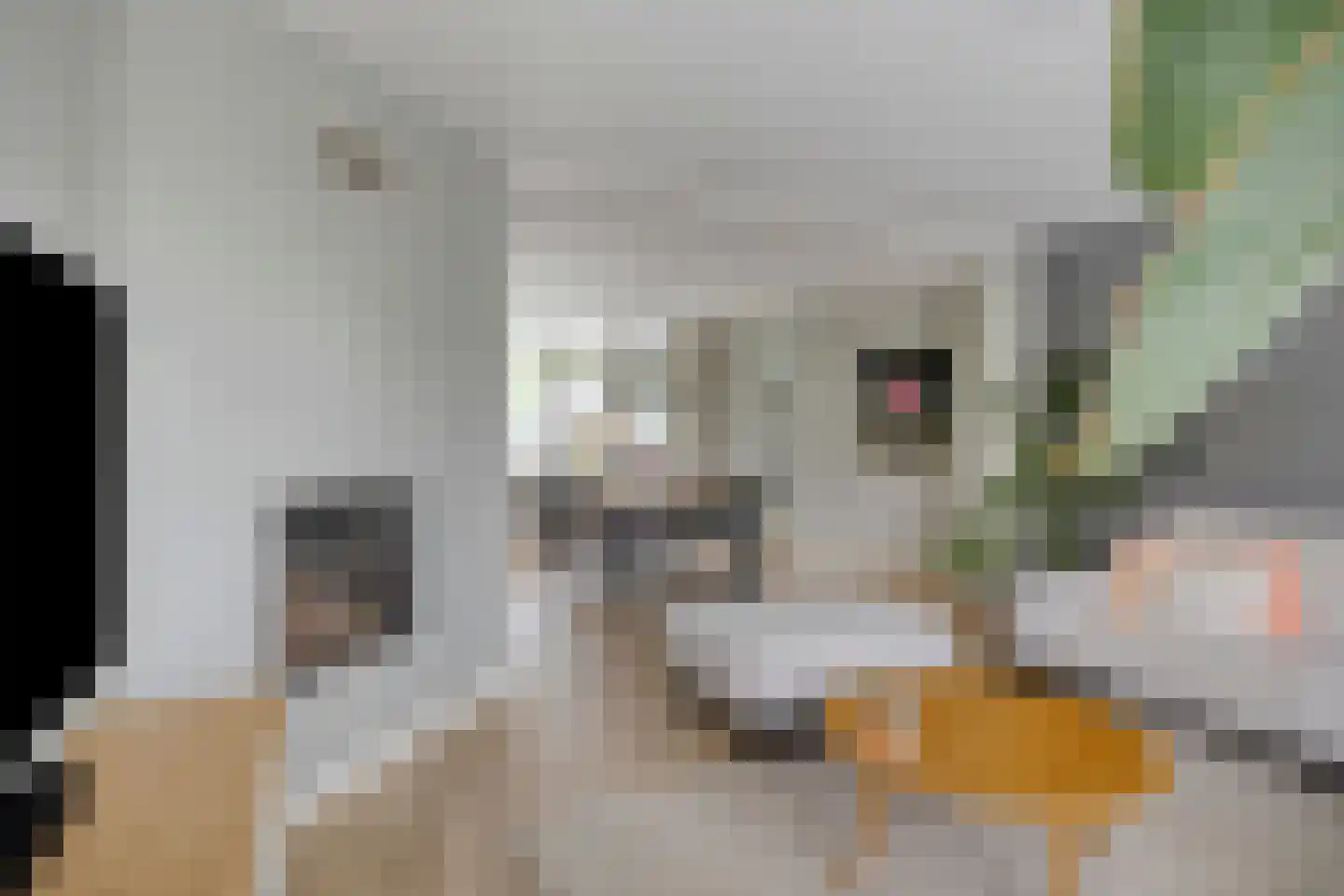 Willem Alexanderstraat 8 Asten thumbnail 7