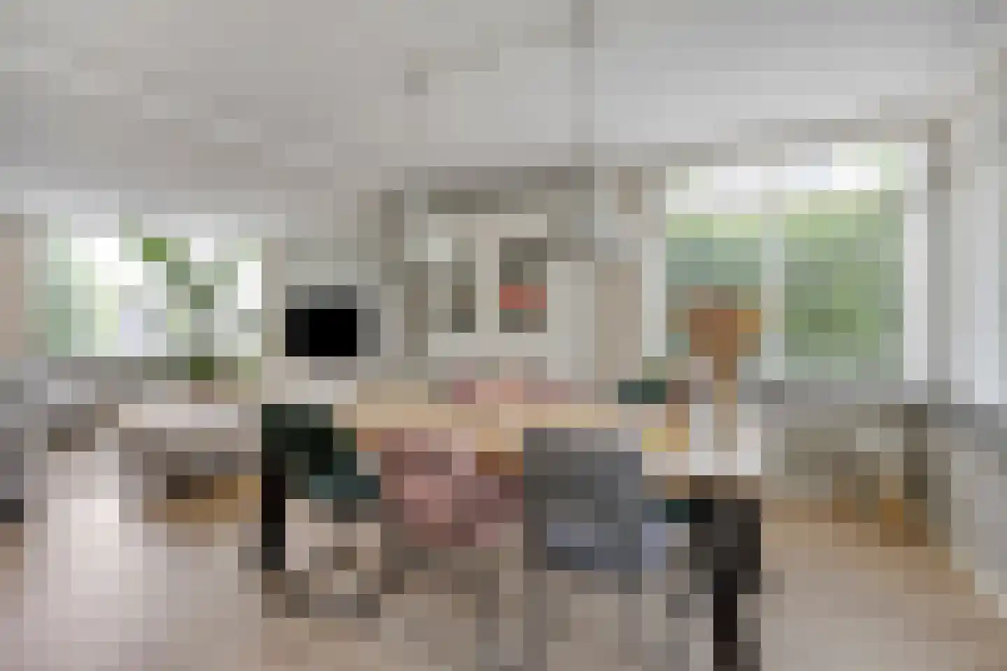 Willem Alexanderstraat 8 Asten thumbnail 9