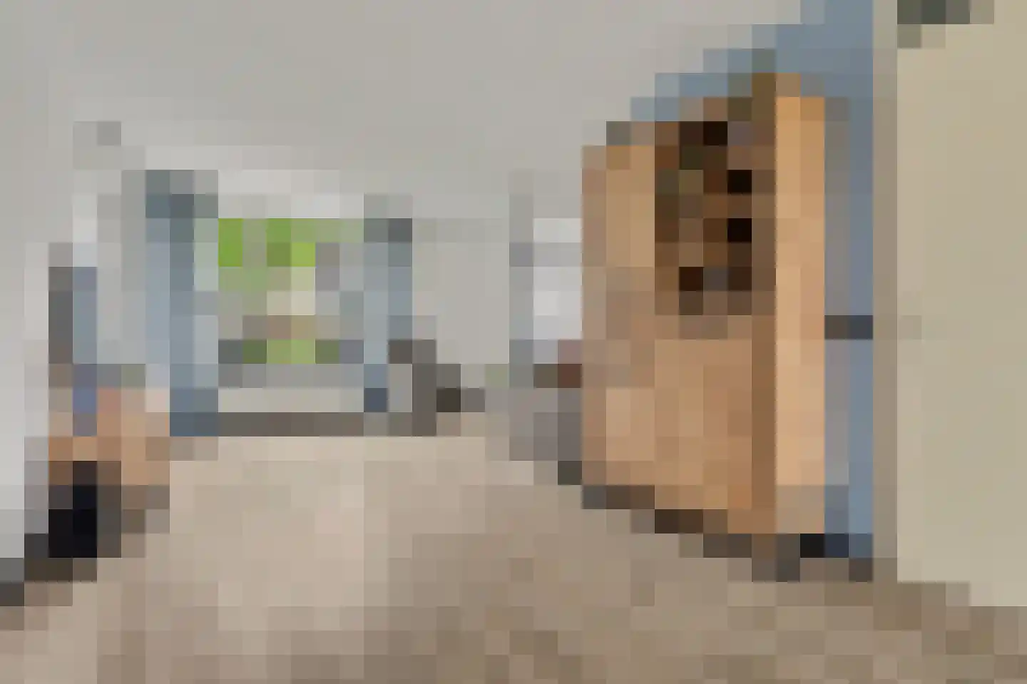 Willem Alexanderstraat 8 Zwartewaal thumbnail 10