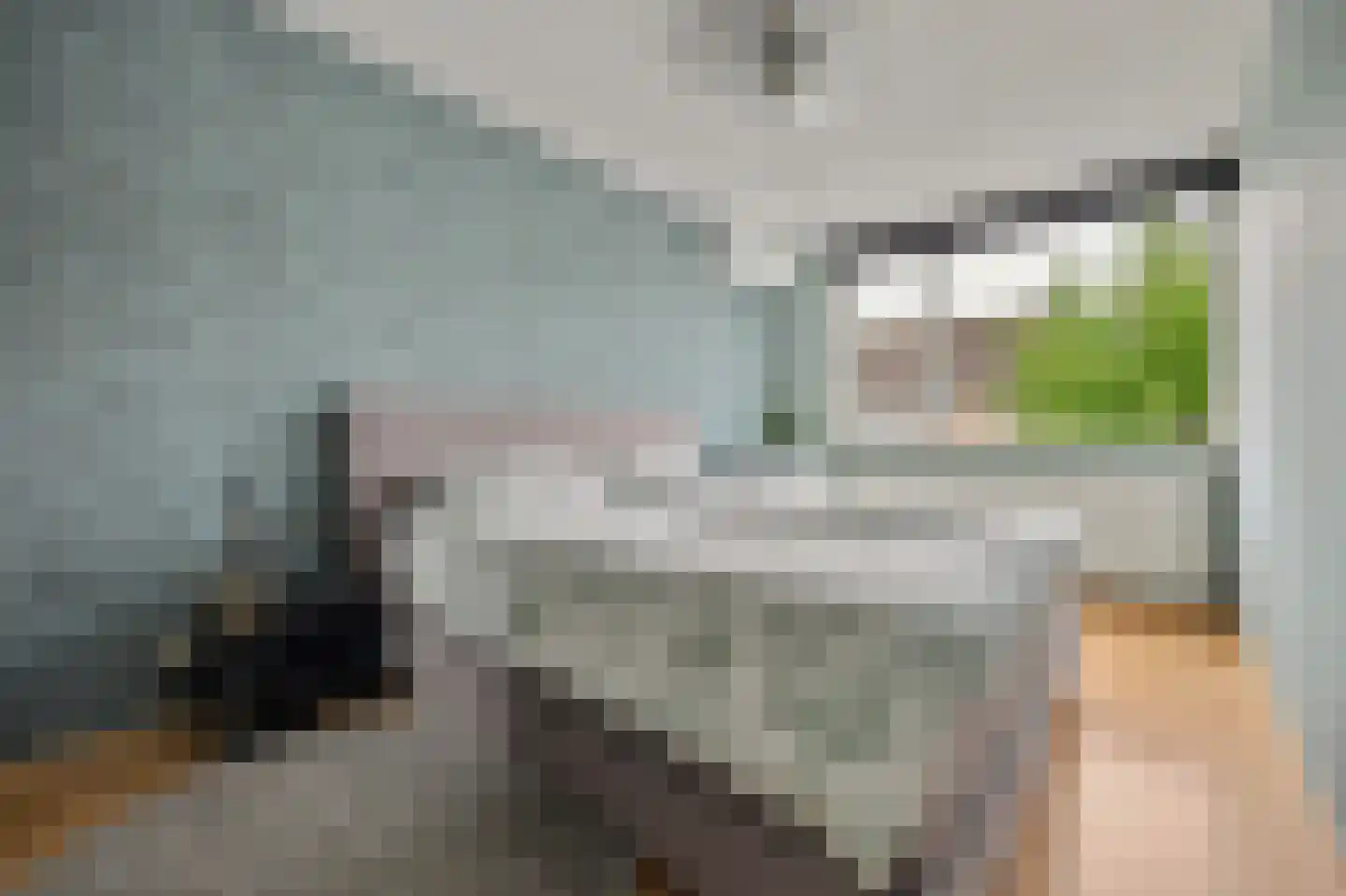 Willem Alexanderstraat 8 Zwartewaal thumbnail 22