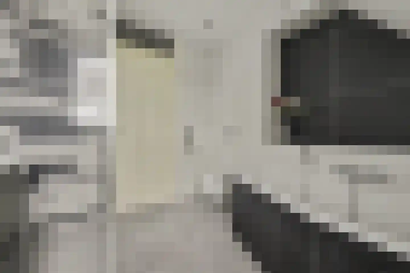 Willem Alexanderstraat 8 Zwartewaal thumbnail 5