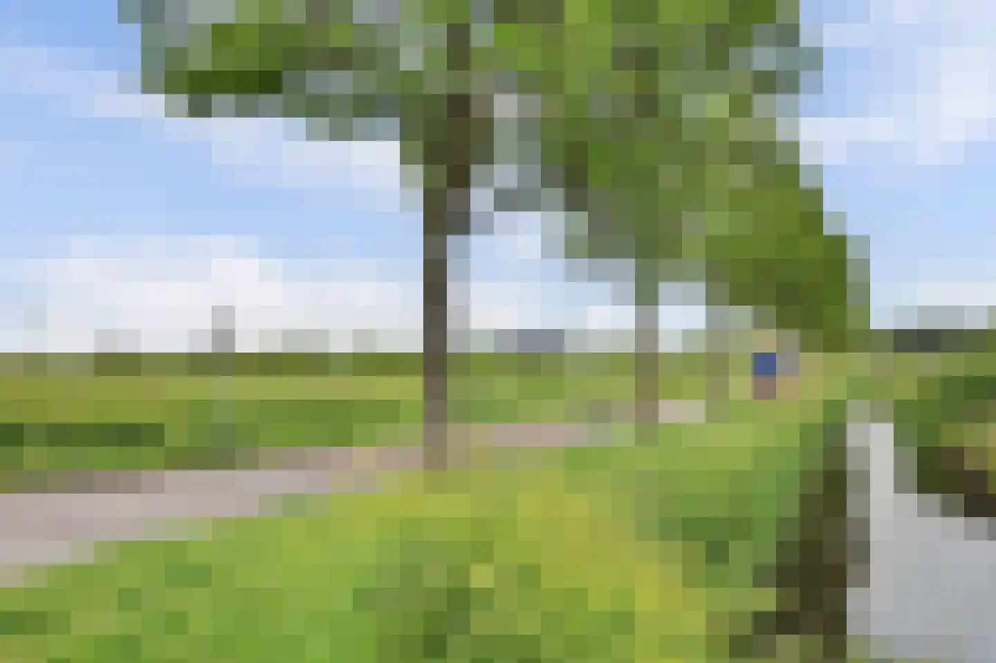 Willem Alexanderstraat 8 Zwartewaal thumbnail 51