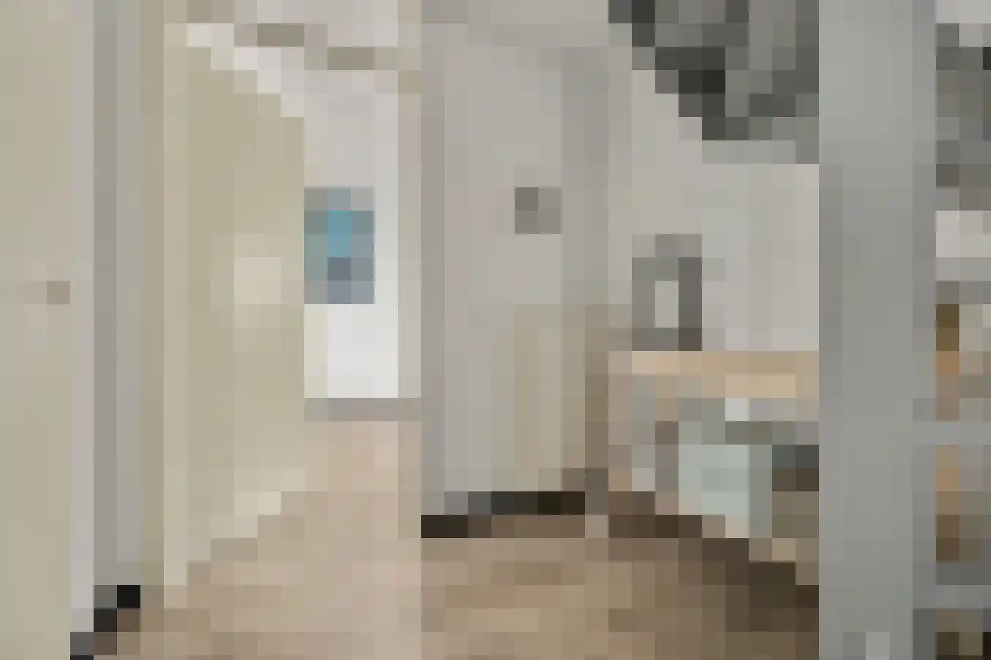 Willem Alexanderstraat 8 Zwartewaal thumbnail 9
