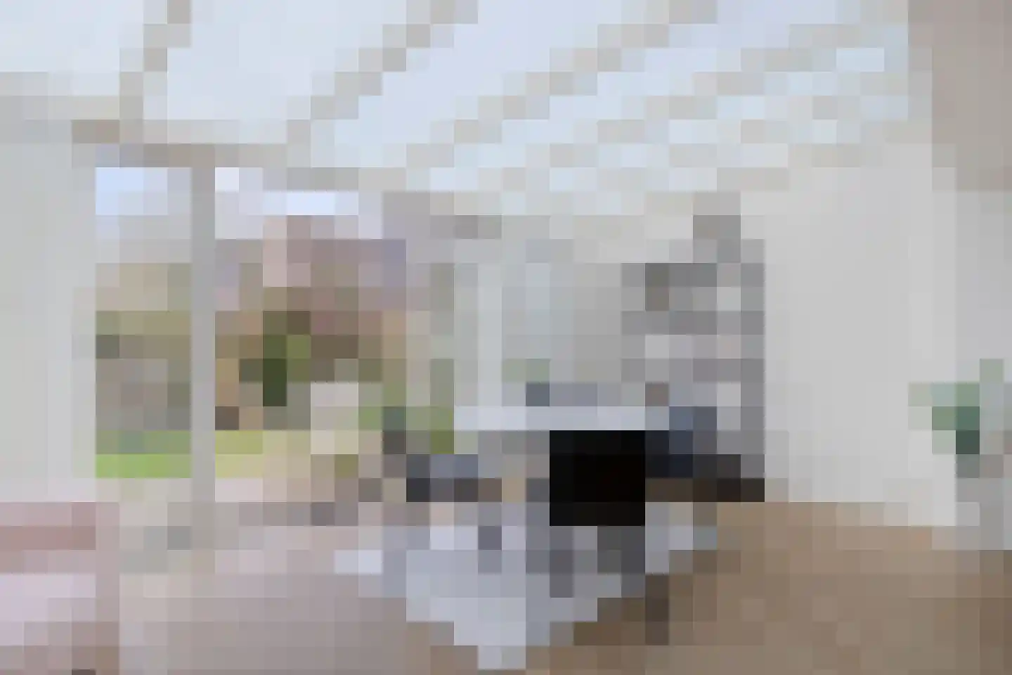 Willem-Alexanderstraat 84 Aalsmeer thumbnail 11