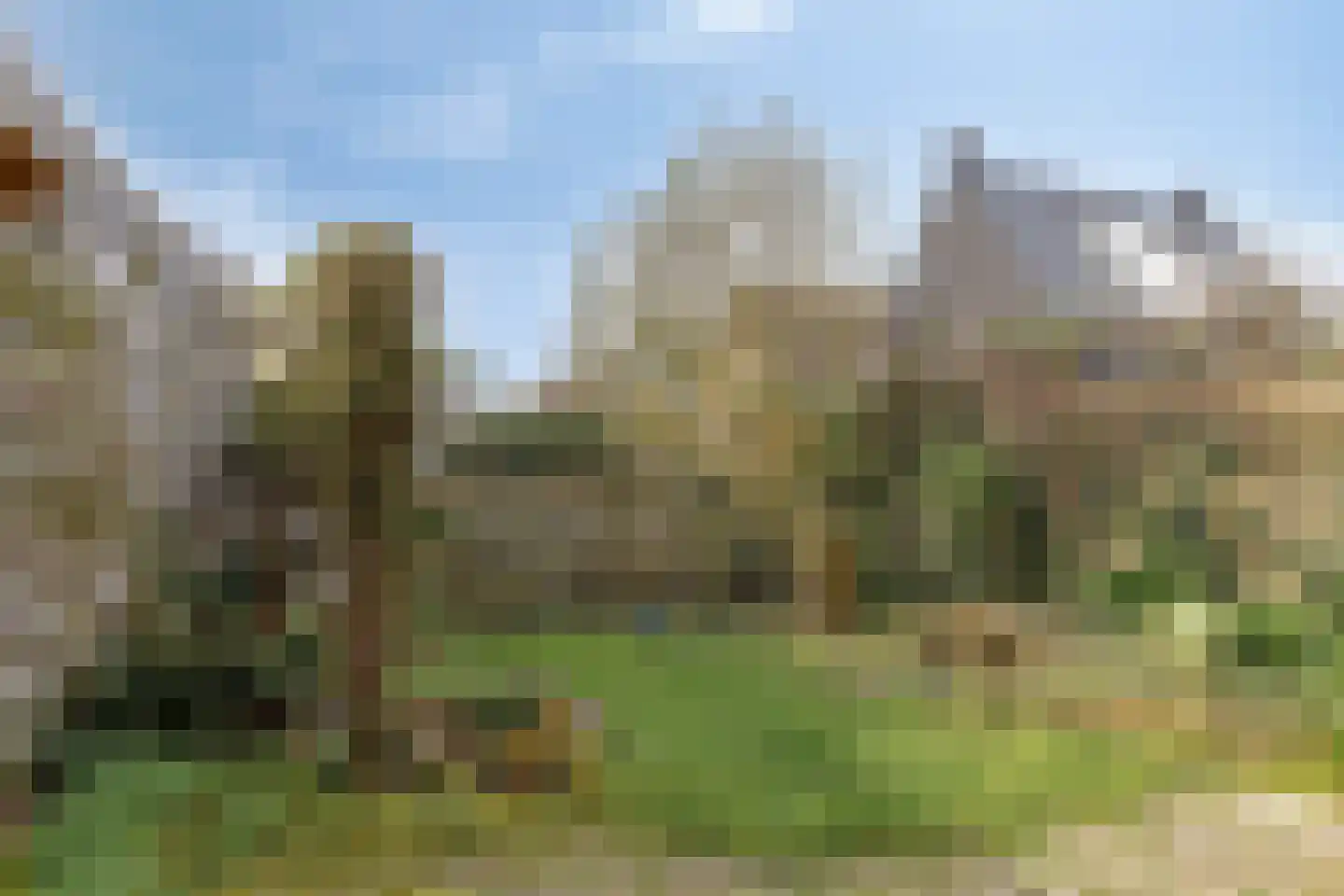 Willem-Alexanderstraat 84 Aalsmeer thumbnail 24