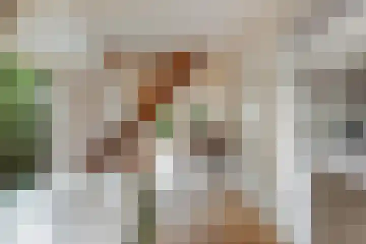 Willem-Alexanderweg 1 Cothen thumbnail 13