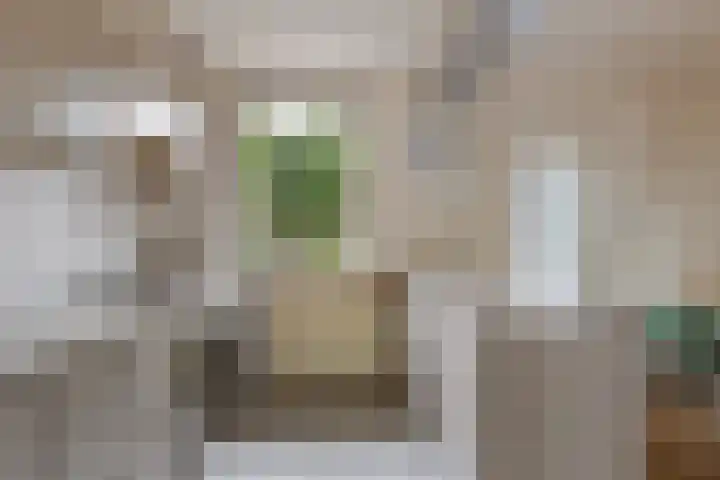Willem-Alexanderweg 1 Cothen thumbnail 18