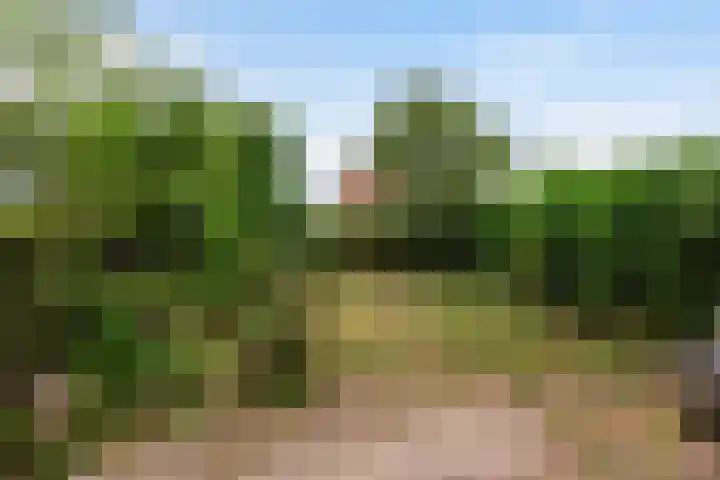 Willem-Alexanderweg 1 Cothen thumbnail 21