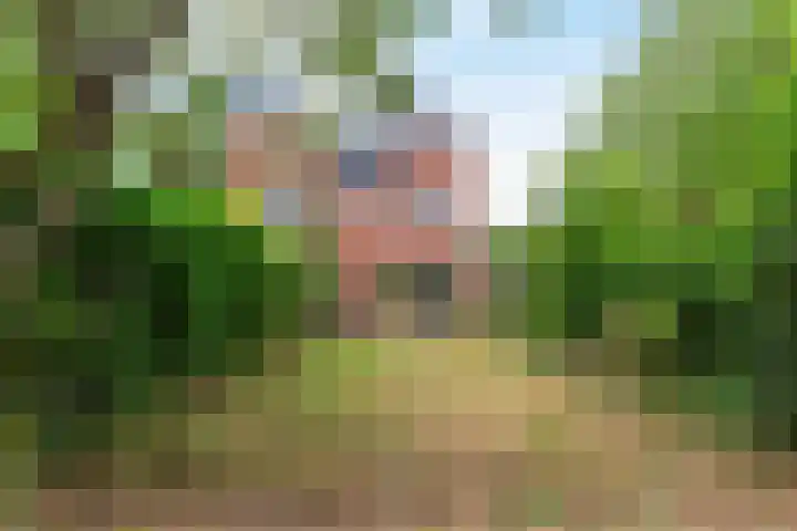 Willem-Alexanderweg 1 Cothen thumbnail 22
