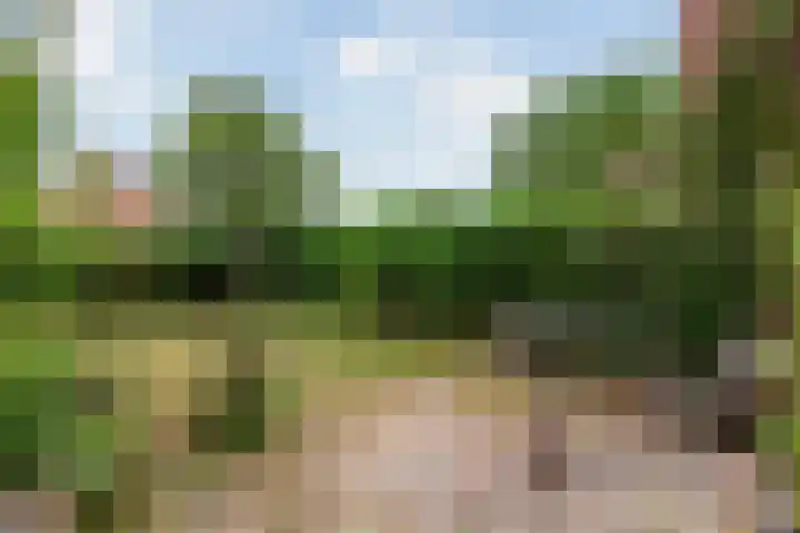 Willem-Alexanderweg 1 Cothen thumbnail 23