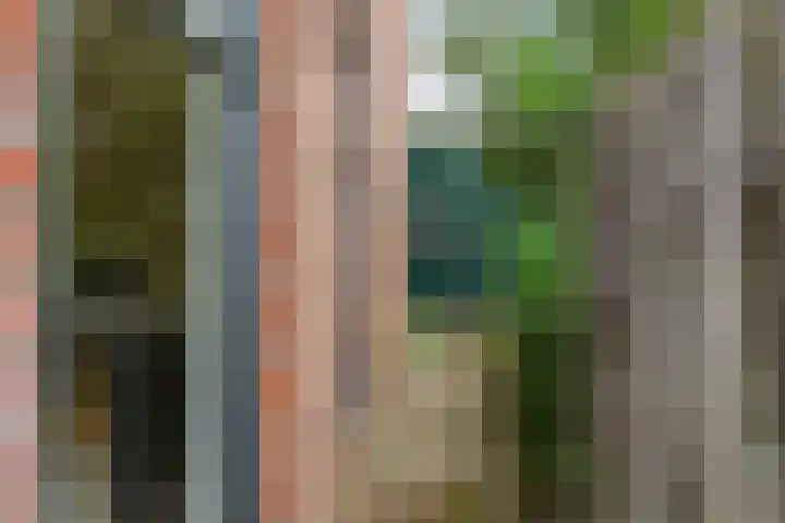 Willem-Alexanderweg 1 Cothen thumbnail 24