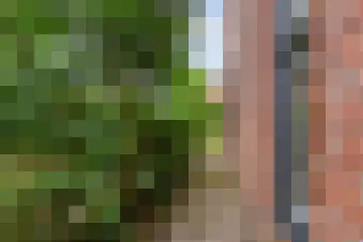 Willem-Alexanderweg 1 Cothen thumbnail 25