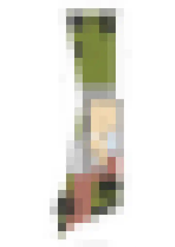 Willem-Alexanderweg 1 Cothen thumbnail 26