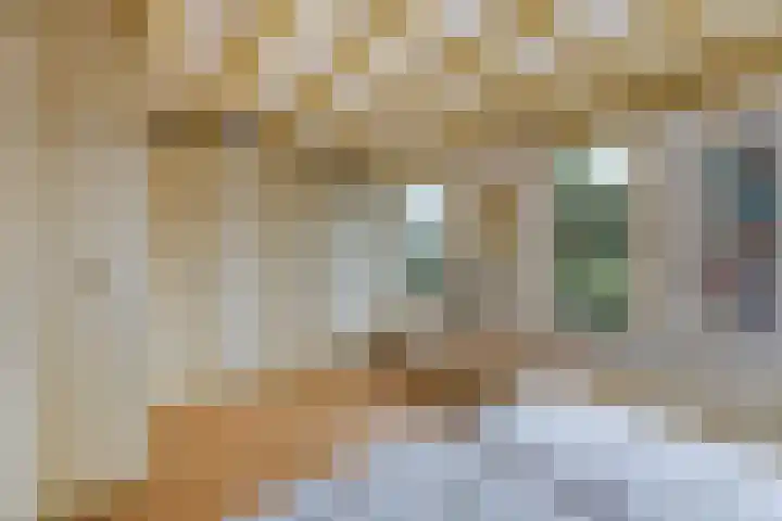 Willem-Alexanderweg 1 Cothen thumbnail 29