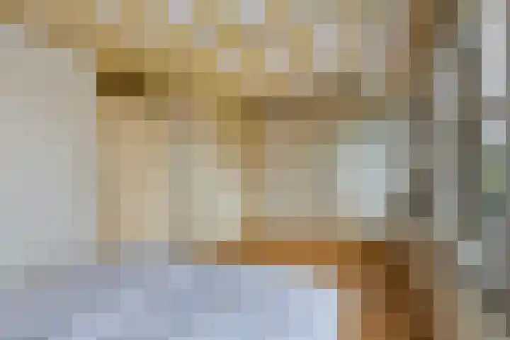 Willem-Alexanderweg 1 Cothen thumbnail 30