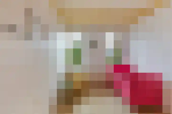 Willem-Alexanderweg 1 Cothen thumbnail 31